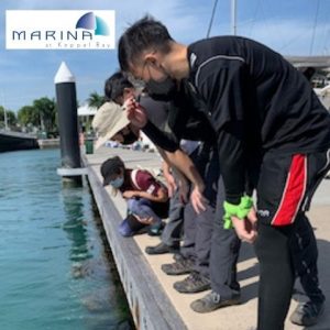 Coral Walk Marina Keppel Bay