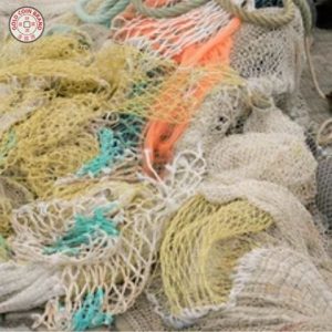 Nets