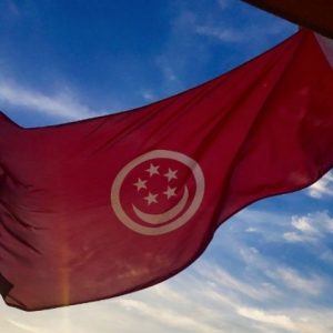 Singapore Registry of Ships